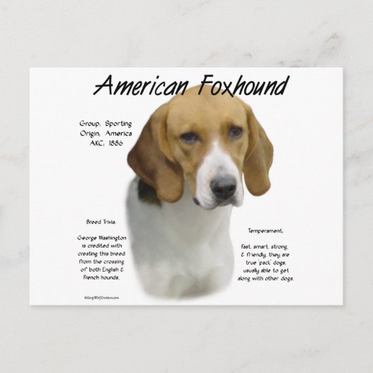 Amerikaanse foxhound geschiedenis, alles over foxh briefkaart (Voorkant)