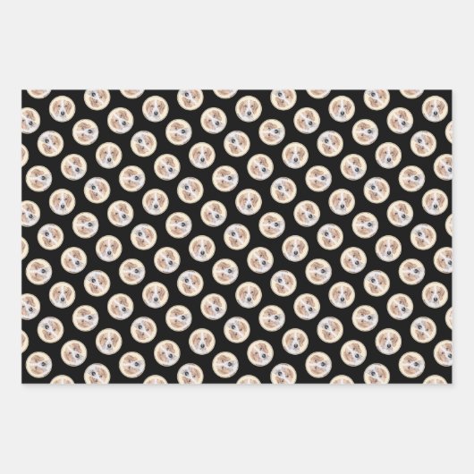 Amerikaanse Foxhound Red Walker Schattigee schilde Inpakpapier Vel (Voorkant 3)