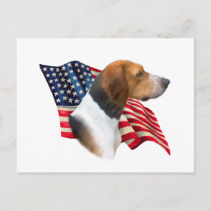 Amerikaanse foxhound vlag briefkaart