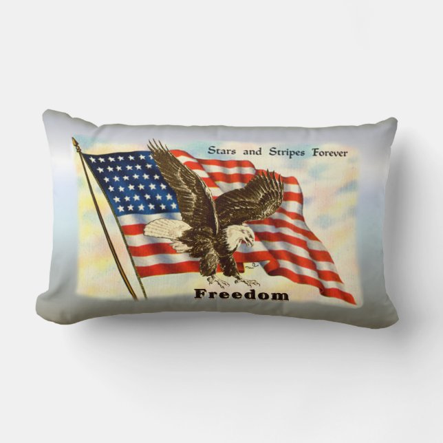 Amerikaanse Freedom Eagle 4 juli 1776 Kussen (Voorkant)