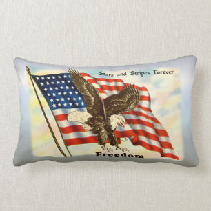 Amerikaanse Freedom Eagle 4 juli 1776 Kussen