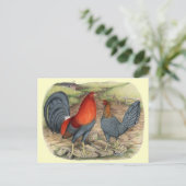 Amerikaanse Game Blue Reds Briefkaart (Staand voorkant)