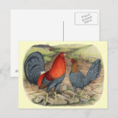 Amerikaanse Game Blue Reds Briefkaart (Voorkant / Achterkant)