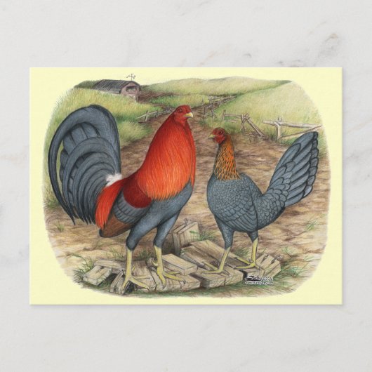 Amerikaanse Game Blue Reds Briefkaart (Voorkant)