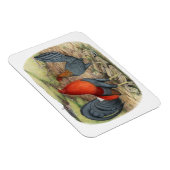 Amerikaanse Game Blue Reds Magneet (Rechterzijde)
