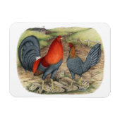 Amerikaanse Game Blue Reds Magneet (Horizontaal)
