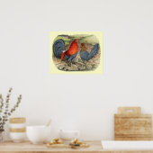 Amerikaanse Game Blue Reds Poster (Keuken)
