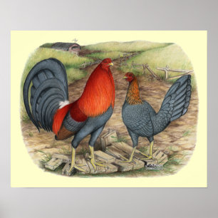 Amerikaanse Game Blue Reds Poster