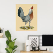 Amerikaanse Game Hen Zilver Blauw Poster (Thuiskantoor)