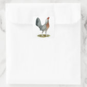 Amerikaanse Game Hen Zilverblauw Vierkante Sticker (Tas)