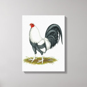 Amerikaanse Game Zilver Blauwe Gamecock Canvas Afdruk
