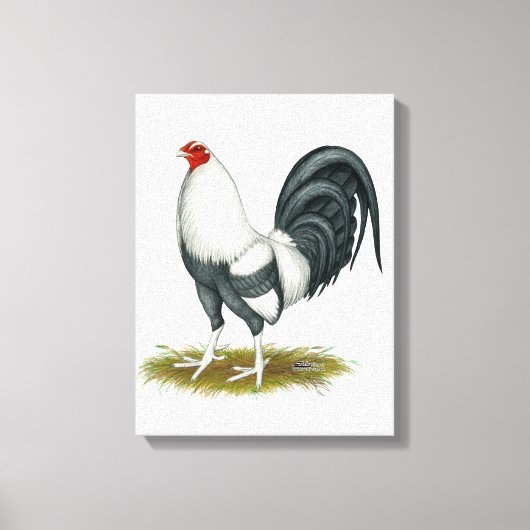 Amerikaanse Game Zilver Blauwe Gamecock Canvas Afdruk (Voorkant)