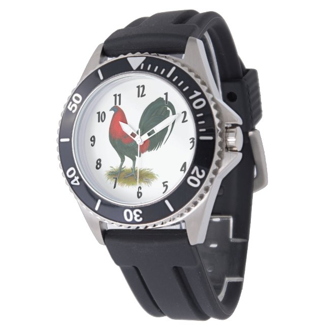 Amerikaanse Gamecock:  Bruin Rood Horloge (Gekanteld)