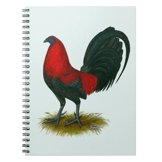 Amerikaanse Gamecock:  Bruin Rood Notitieboek (Voorkant)