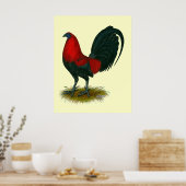 Amerikaanse Gamecock: Bruin Rood Poster (Keuken)