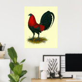 Amerikaanse Gamecock: Bruin Rood Poster (Thuiskantoor)