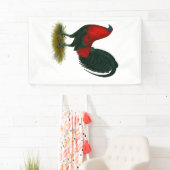 Amerikaanse Gamecock: Bruin Rood Spandoek (Insitu)