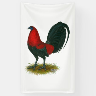 Amerikaanse Gamecock: Bruin Rood Spandoek