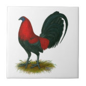 Amerikaanse Gamecock:  Bruin Rood Tegeltje (Voorkant)