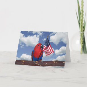 Amerikaanse Geest Kaart