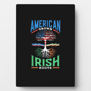 Amerikaanse gekweekte Ierse wortels St. Patrick's  Fotoplaat