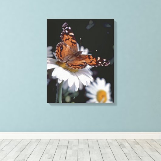 Amerikaanse geschilderde Lady Butterfly op Daisy C Canvas Afdruk (Insitu (Houten vloer))