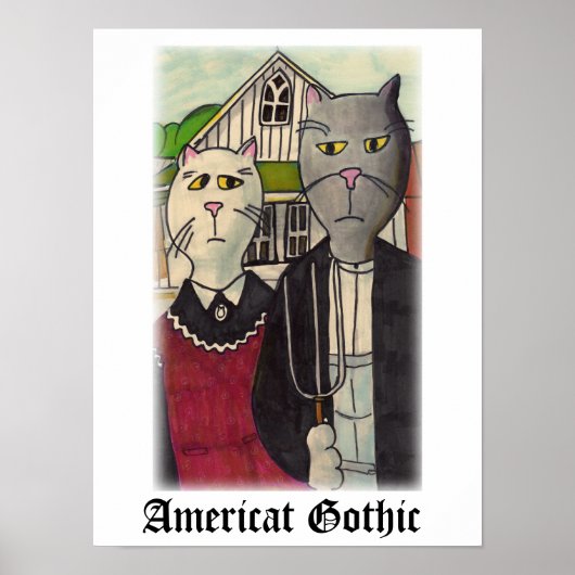 Amerikaanse getikte kattentekenkunst poster (Voorkant)