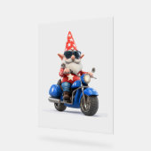 Amerikaanse Gnome Riding Motorcycle Acryl Bord (Hoek)