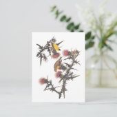 Amerikaanse Goldfinch Audubon Birds of America Briefkaart (Staand voorkant)