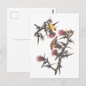 Amerikaanse Goldfinch Audubon Birds of America Briefkaart (Voorkant / Achterkant)