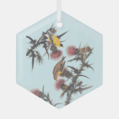 Amerikaanse Goldfinch Audubon Birds of America Glas Ornament (Voorkant)