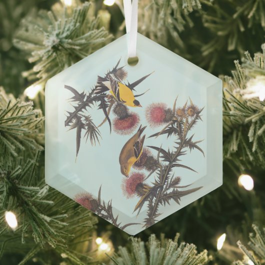 Amerikaanse Goldfinch Audubon Birds of America Glas Ornament (Insitu)