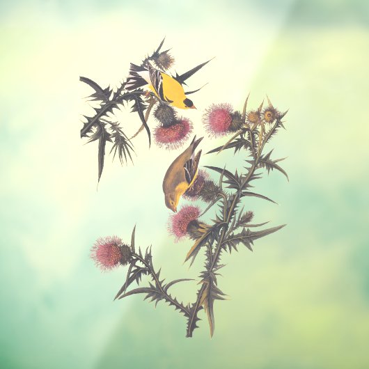 Amerikaanse Goldfinch Audubon Birds of America Raamsticker (Vel 3)