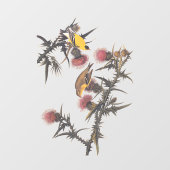 Amerikaanse Goldfinch Audubon Birds of America Raamsticker (Vel)