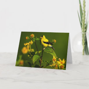 Amerikaanse Goldfinch Bedankkaart