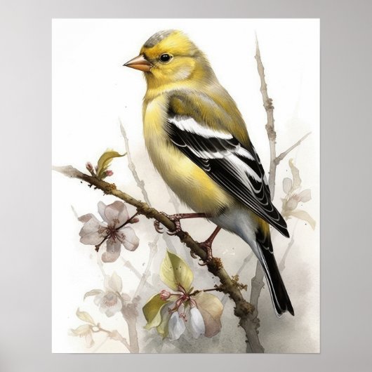 Amerikaanse Goldfinch Bird Art Print Poster (Voorkant)