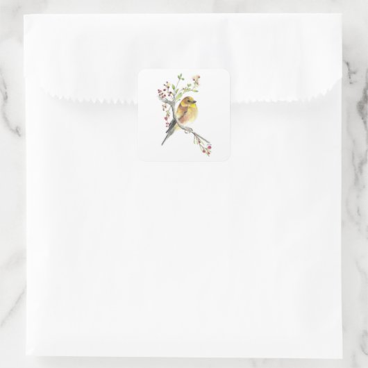 Amerikaanse Goldfinch Bird Berries Vierkante Sticker (Tas)