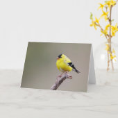 Amerikaanse Goldfinch Bird Kaart (Gele Bloem)