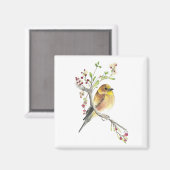 Amerikaanse Goldfinch Bird Waterverf Art Magnet (Voorkant / Achterkant)