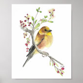 Amerikaanse Goldfinch Bird Waterverf Art Print (Voorkant)