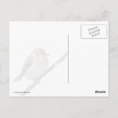 Amerikaanse Goldfinch Briefkaart (Achterkant)