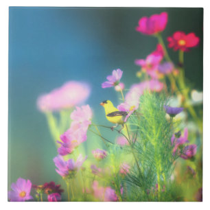 Amerikaanse Goldfinch en Coreopsis Tegeltje