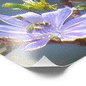 Amerikaanse Goldfinch Foto Afdruk (Hoek)