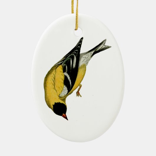 Amerikaanse Goldfinch Keramisch Ornament (Achterkant)