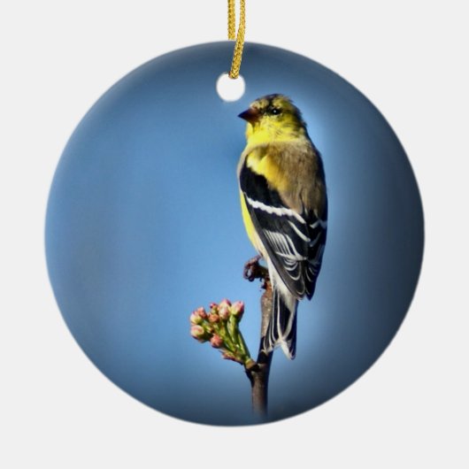 Amerikaanse Goldfinch Keramisch Ornament (Voorkant)