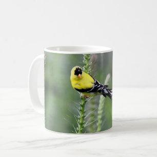 Amerikaanse Goldfinch Koffiemok