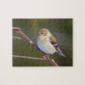 Amerikaanse Goldfinch Legpuzzel (Horizontaal)