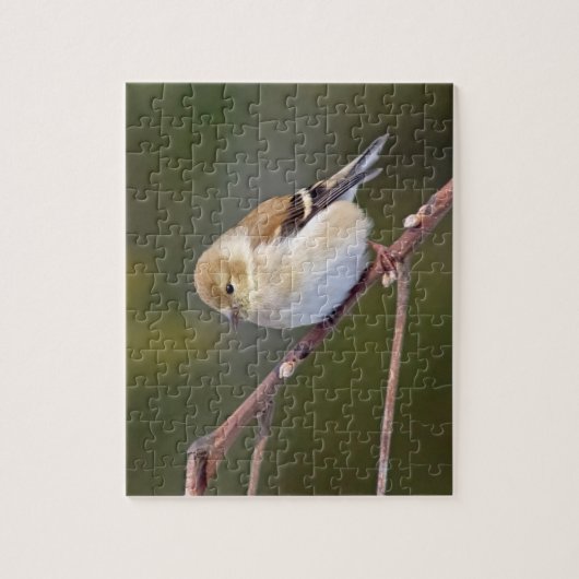 Amerikaanse Goldfinch Legpuzzel (Verticaal)