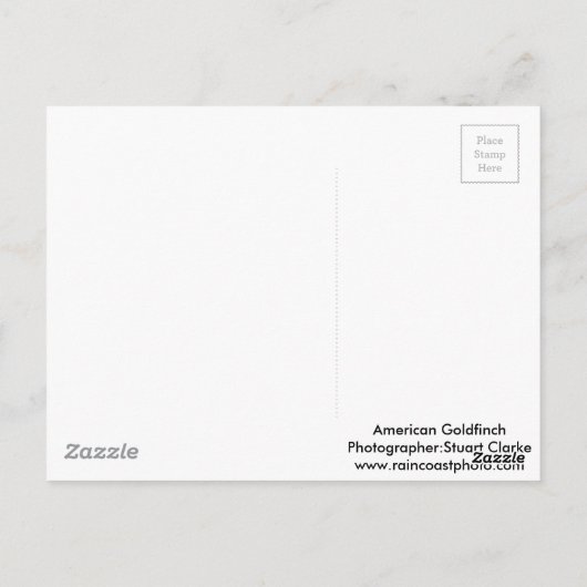 Amerikaanse Goldfinch met lentesappelbloesems Briefkaart (Achterkant)