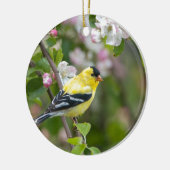 Amerikaanse Goldfinch met lentesappelbloesems Keramisch Ornament (Links)